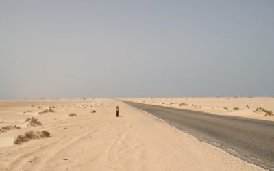 42058476_2262050913808060_5171936460349112320_o 42058476_2262050913808060_5171936460349112320_o