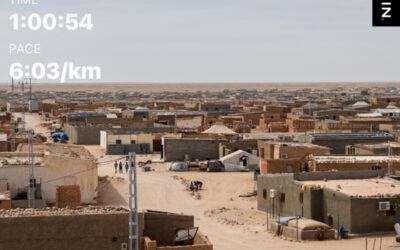 SM003_dsc6107 SM003_dsc6107