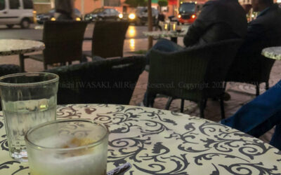 319751699_968875274074833_6529237464361977352_n 319751699_968875274074833_6529237464361977352_n