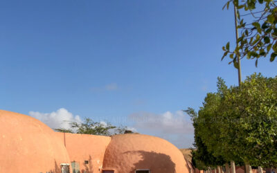 SM007_IMG_3946 SM007_IMG_3946