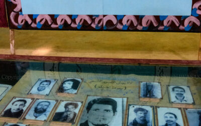 SM008_dsc_5183 SM008_dsc_5183