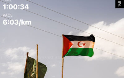 SM011_dsc5248 SM011_dsc5248