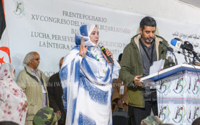 SM012_dsc8423 SM012_dsc8423