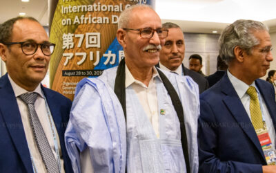 SM013_img6367 SM013_img6367