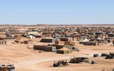 325986664_1582001068909120_5240042971371763413_n 325986664_1582001068909120_5240042971371763413_n