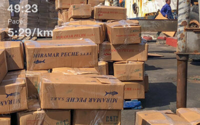 326500181_1336313590484426_8809588129815678444_n 326500181_1336313590484426_8809588129815678444_n