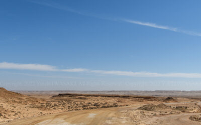 326912486_1037065664351271_8406673749005400632_n 326912486_1037065664351271_8406673749005400632_n