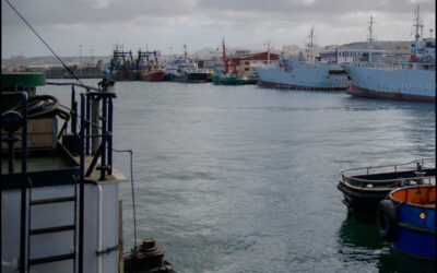 328832586_890147922106882_3742751235295104925_n 328832586_890147922106882_3742751235295104925_n