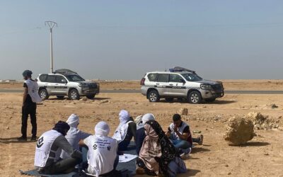 329085273_671103498128995_7589570648938411388_n 329085273_671103498128995_7589570648938411388_n