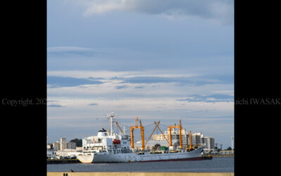 330114612_594374058888215_8441976277391599055_n 330114612_594374058888215_8441976277391599055_n